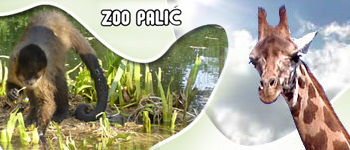 Zoološki vrt na Paliću